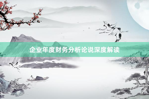 企业年度财务分析论说深度解读